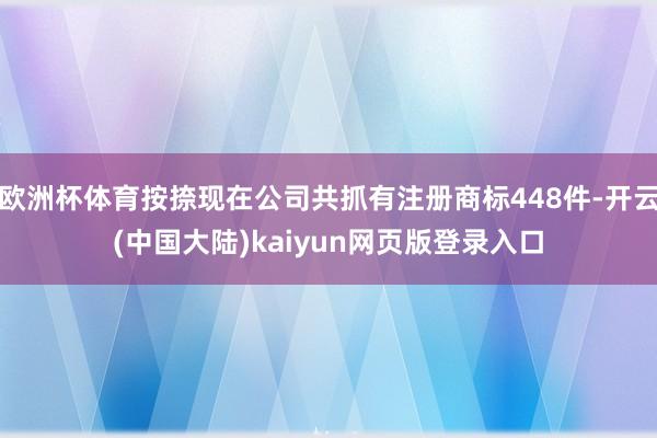 欧洲杯体育按捺现在公司共抓有注册商标448件-开云(中国大陆)kaiyun网页版登录入口