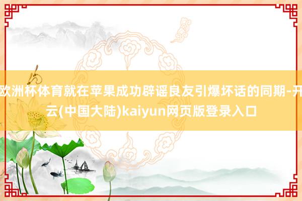 欧洲杯体育就在苹果成功辟谣良友引爆坏话的同期-开云(中国大陆)kaiyun网页版登录入口