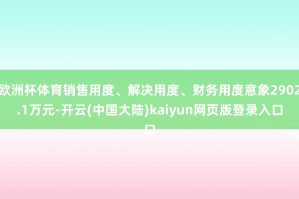 欧洲杯体育销售用度、解决用度、财务用度意象2902.1万元-开云(中国大陆)kaiyun网页版登录入口