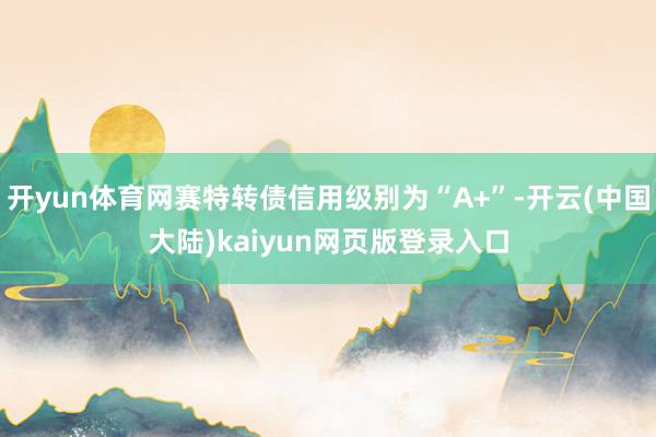 开yun体育网赛特转债信用级别为“A+”-开云(中国大陆)kaiyun网页版登录入口